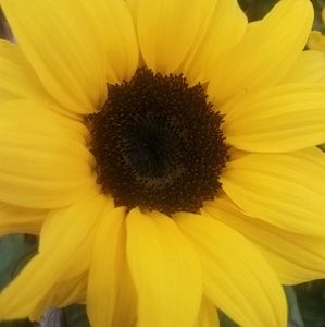 Meet your Posher, Alondra